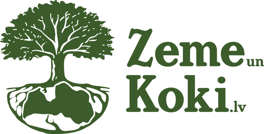 Zeme un Koki
